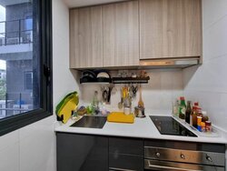 Botanique At Bartley (D19), Condominium #456331491